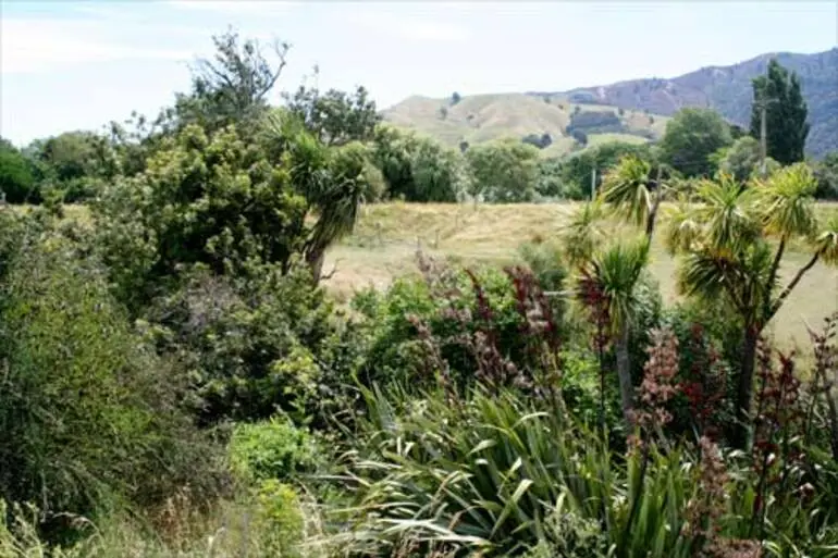 Image: Site of Wairau affray