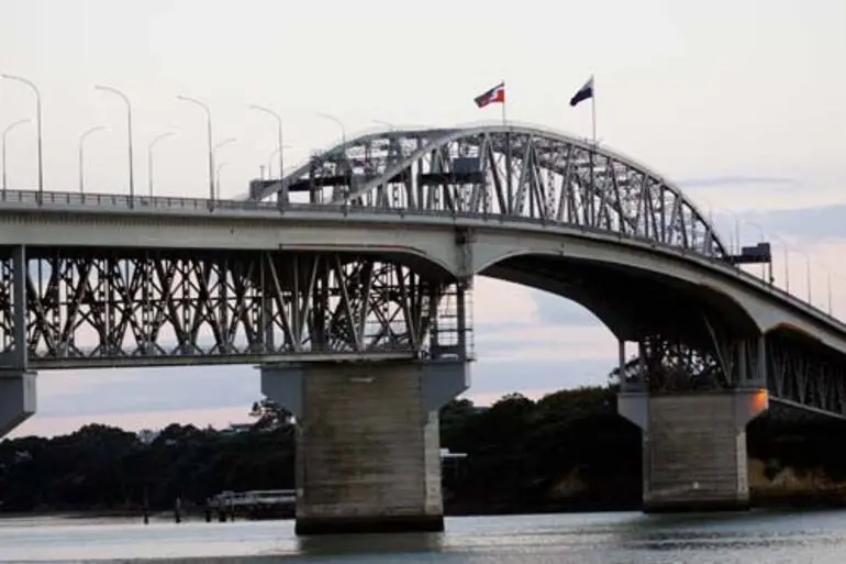 Image: Tino rangatiratanga flag