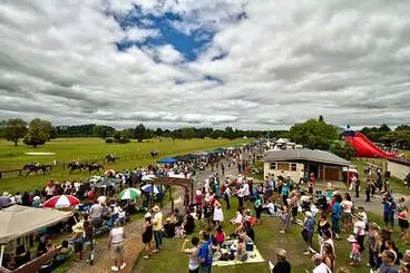Image: Boxing Day races at Pirongia