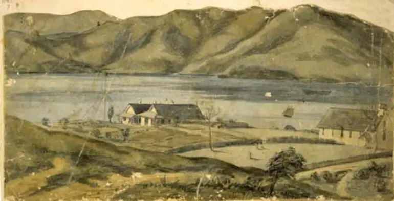 Image: Government House, Wellington