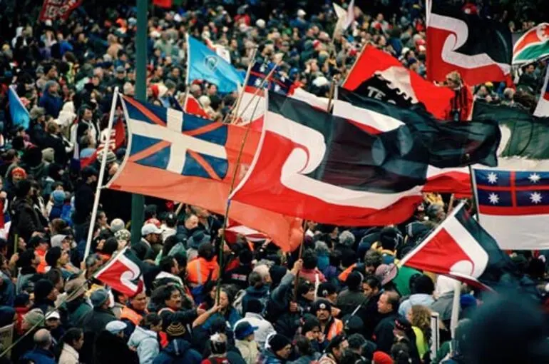 Image: Tino rangatiratanga flag: one among many