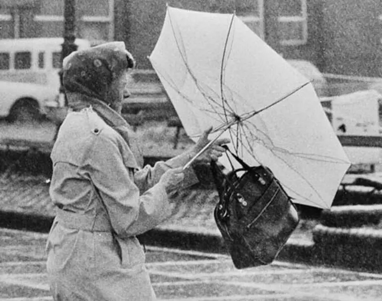 Image: Windy Wellington