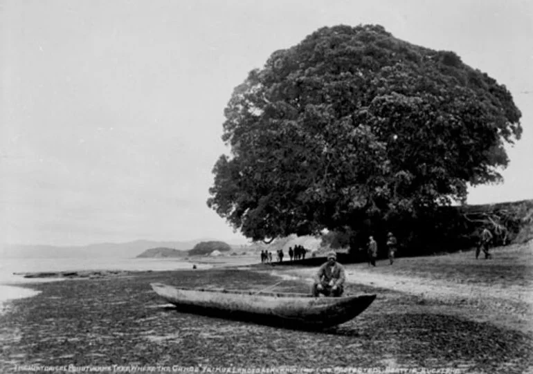 Image: Tainui landing site, Kāwhia