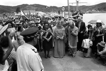 Image: Waitangi Day protest, 1984