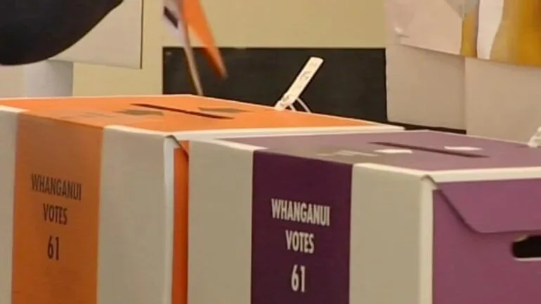 Image: Voting in 2011 general election