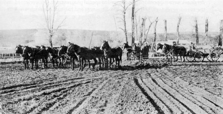 Image: Prison farm at Waikeria, 1919