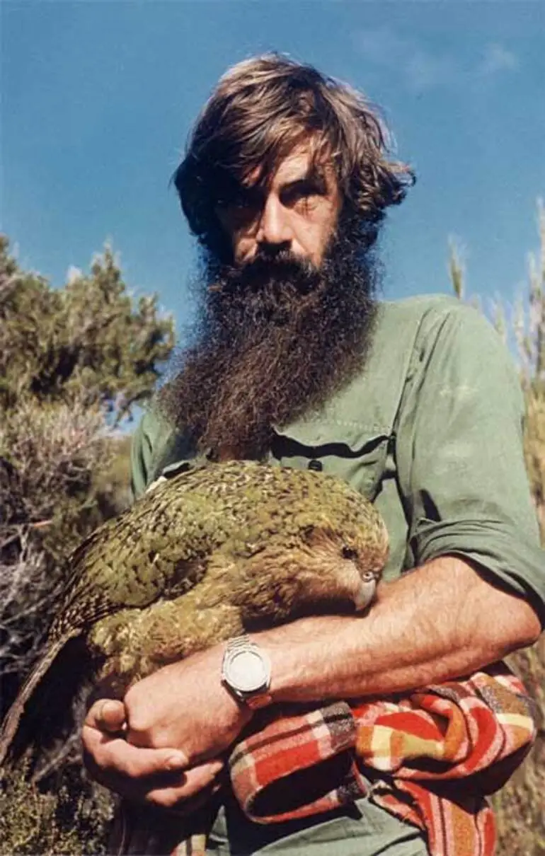 Image: Kākāpō on Stewart Island