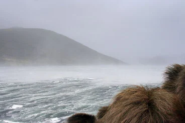 Image: Storm, Campbell Island