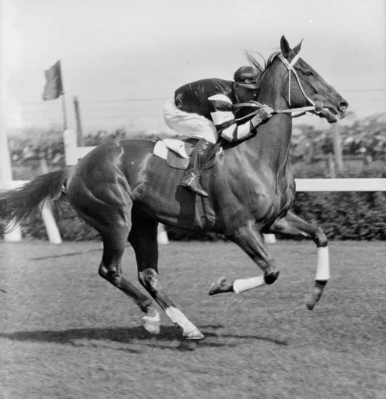 Image: Phar Lap: raring to go