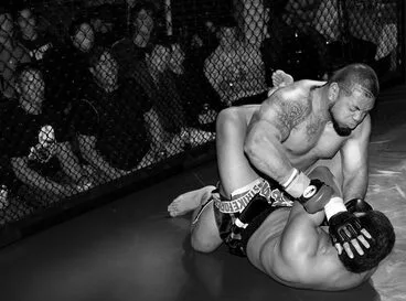 Image: Cage fighting, 2007