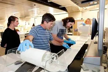 Digitising the 1893 women's suffrage petition Image: Digitising the 1893 women's suffrage petition