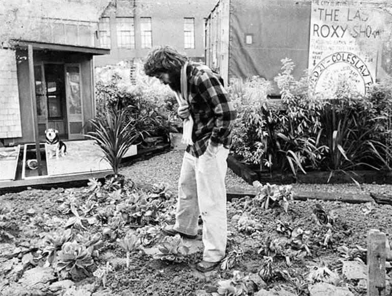 Image: 'Vacant lot of cabbages'