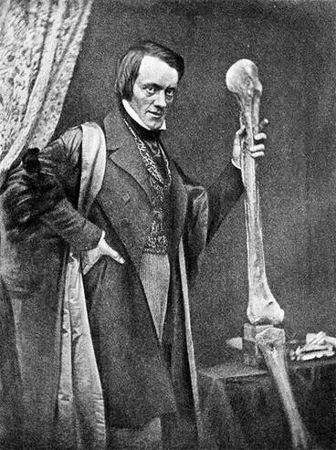 Image: Richard Owen with moa bones