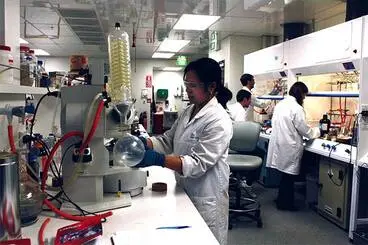 Researchers at the Malaghan Institute, 2010 Image: Researchers at the Malaghan Institute, 2010