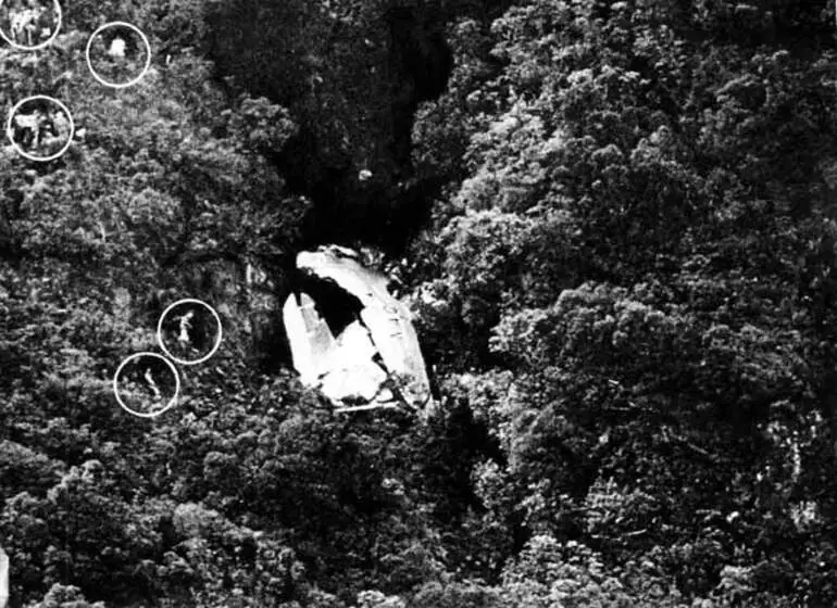Image: Kaimai crash