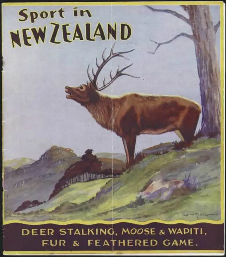 Image: New Zealand game