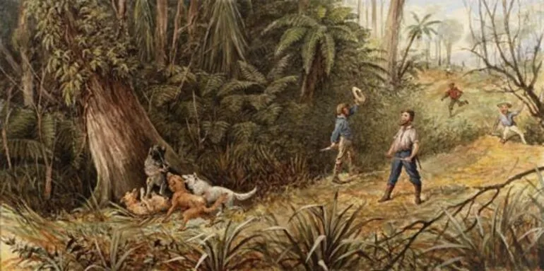 Image: Pig hunting