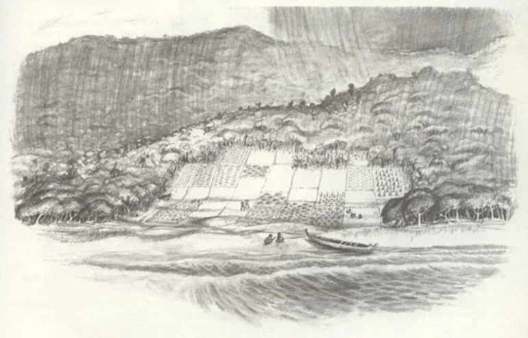 Image: Gardens, Anaura Bay