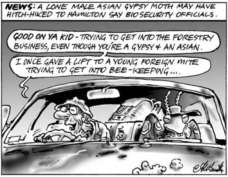 Image: Asian gypsy moth cartoon