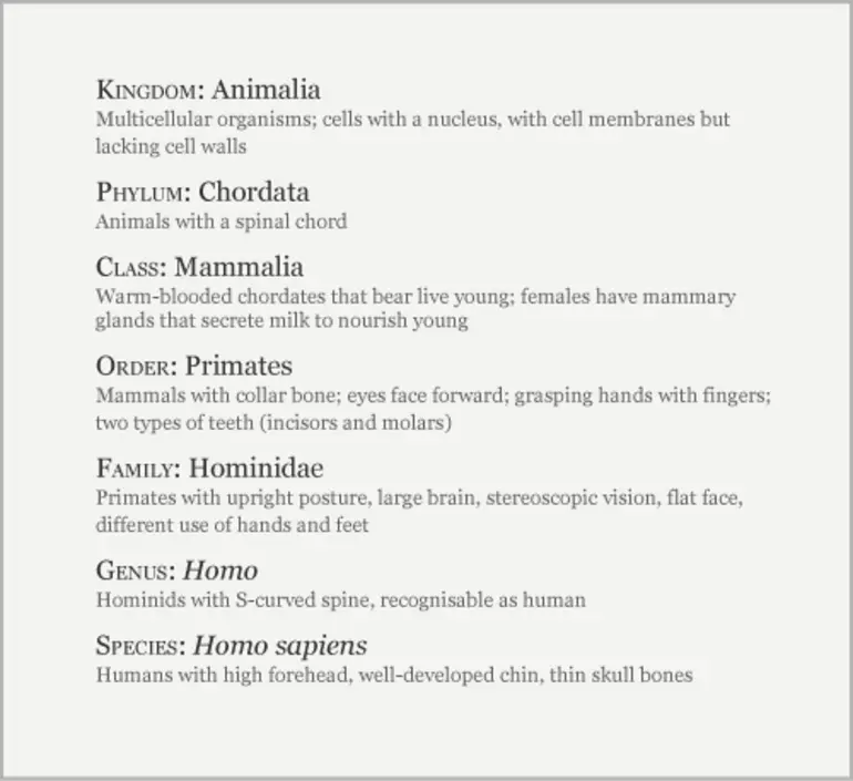 Image: Classification of humans