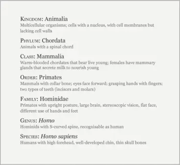 Image: Classification of humans