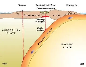 Image: Continental and oceanic crust