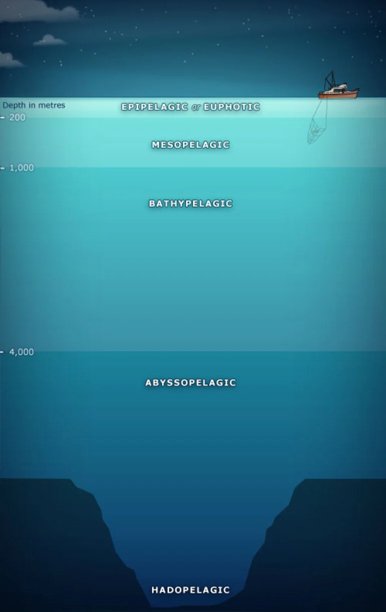 Image: Zones of the ocean