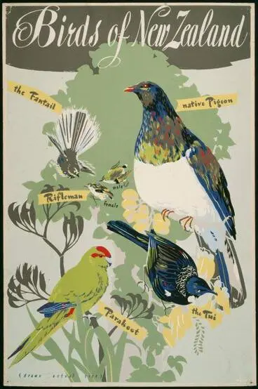 Native land birds of New Zealand Image: Native land birds of New Zealand