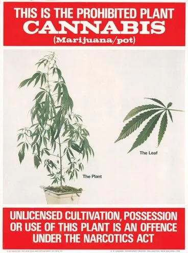 Image: Pot poster