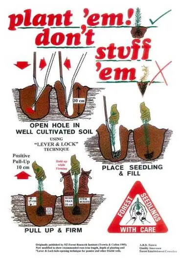 Image: Tree-planting instructions