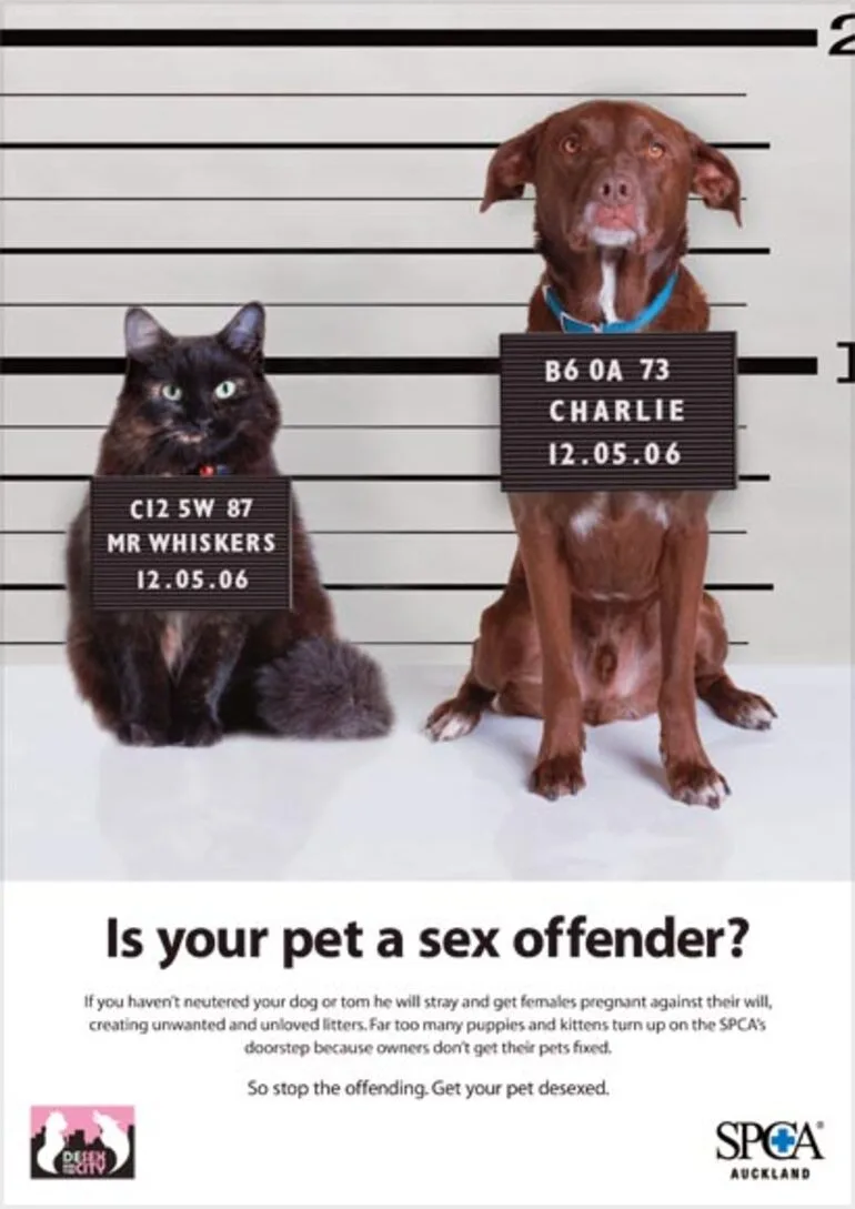 Image: Desex and the city