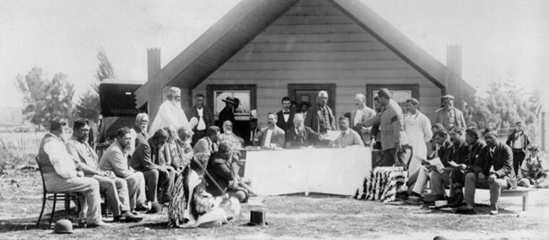Image: Te tango whenua – Māori land alienation