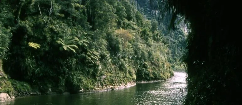 Image: Whanganui tribes