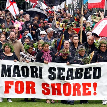 Image: Ngā rōpū tautohetohe – Māori protest movements