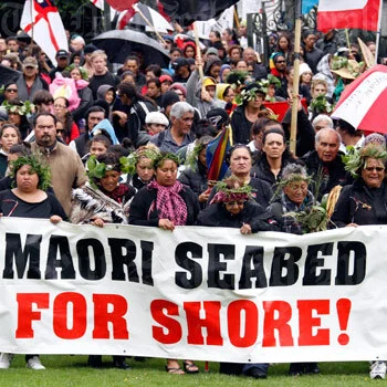 Ngā rōpū tautohetohe – Māori protest movements Image: Ngā rōpū tautohetohe – Māori protest movements