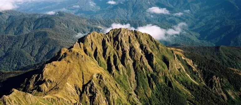 Image: Ngāti Porou