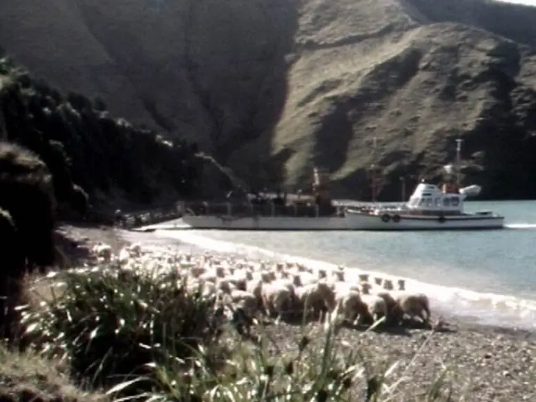 Image: D’Urville Island barge