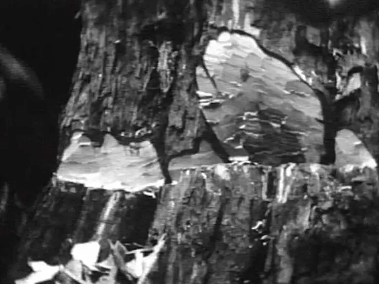 Image: Logging and milling