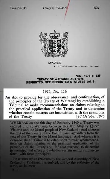 Treaty of Waitangi Act 1975 Image: Treaty of Waitangi Act 1975