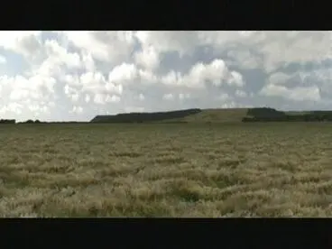 Battle of Moturoa Image: Battle of Moturoa