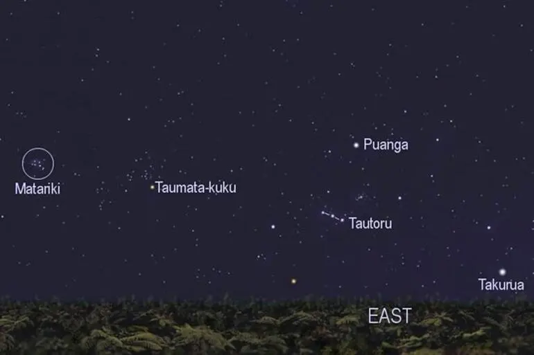 Image: Winter stars