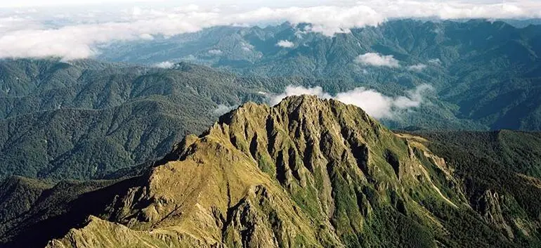 Image: Hikurangi