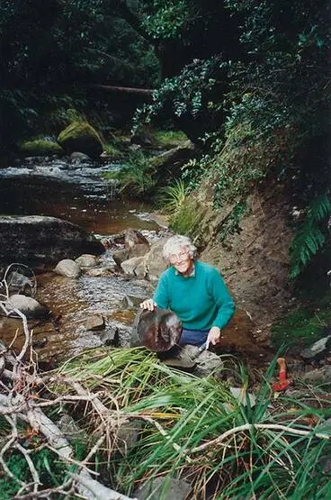 Dinosaur finder Image: Dinosaur finder