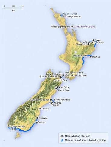 New Zealand whaling stations Image: New Zealand whaling stations