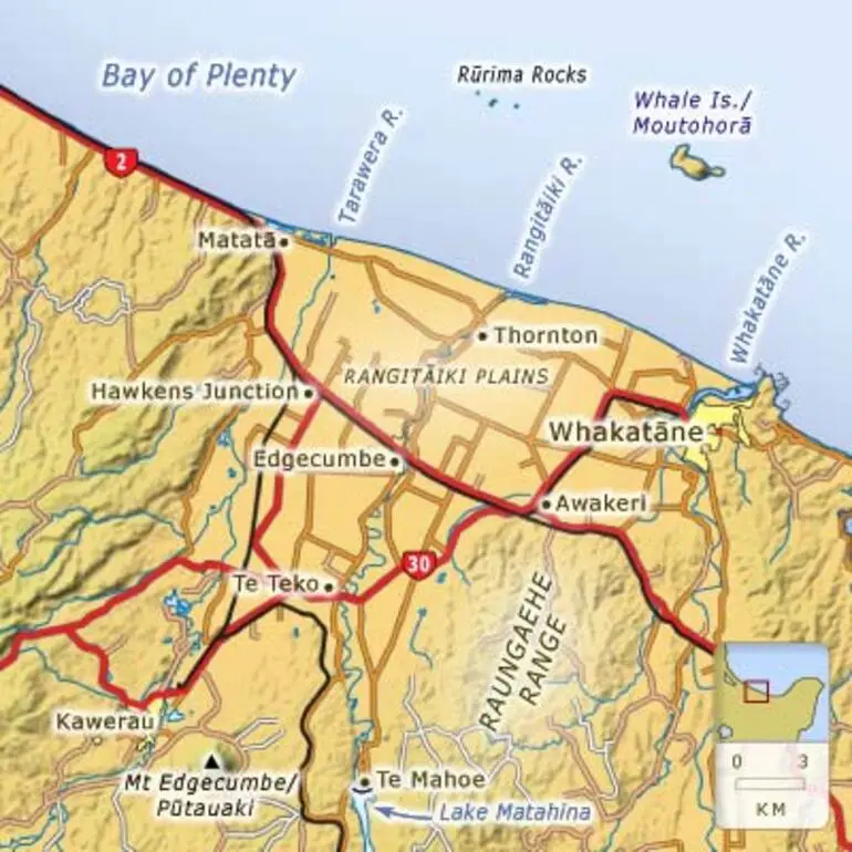 Image: Towns of the Rangitāiki Plains