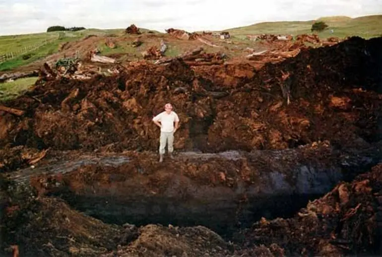 Image: Recycling kauri