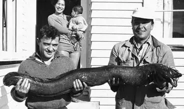 Image: A 16-kilo longfin