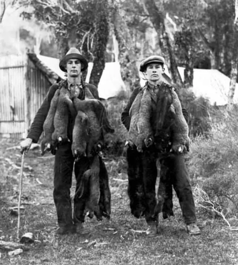 Image: Possum trappers