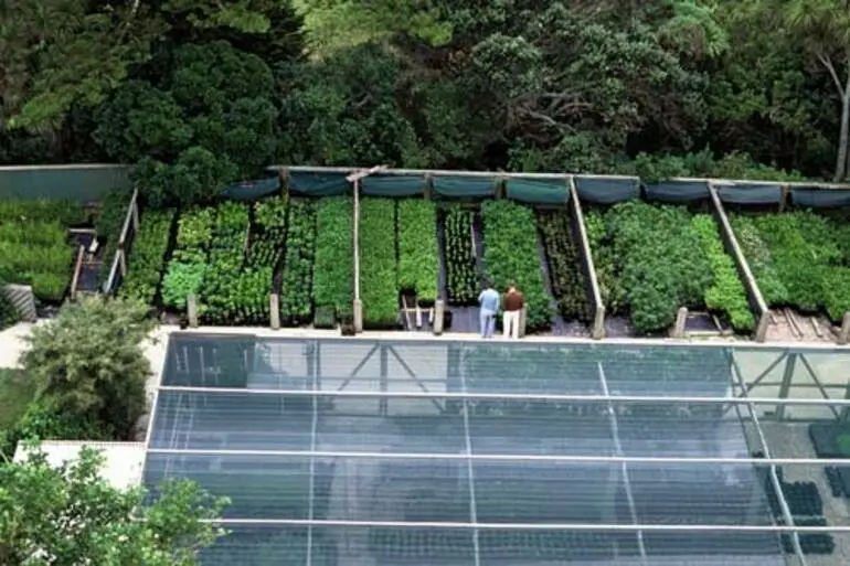 Image: Plant nursery, Tiritiri Matangi, 1988