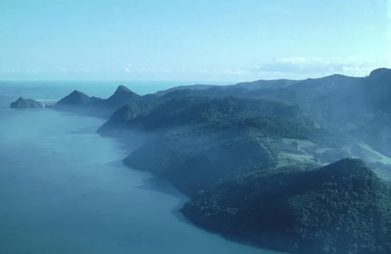 Image: Waitākere Ranges